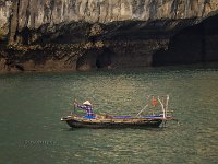 DSCN4887