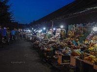 DSCN5090