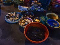 DSCN5108