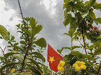 DSCN5469