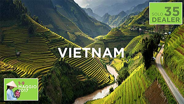 Vietnam 2017 Incentive Sharp