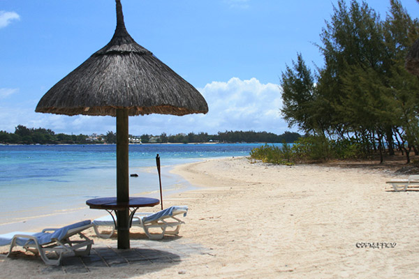 Album Mauritius Incentive Sharp 2010