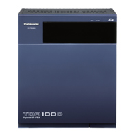 PANASONIC TDE100D