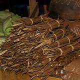 cannellaC7DL8947